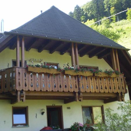 Haus Am Bach Apartment Freiburg im Breisgau Luaran gambar