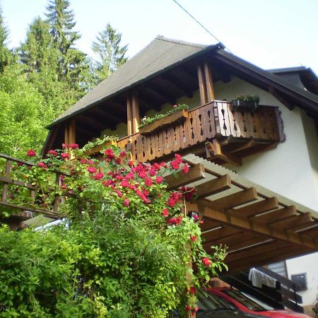 Haus Am Bach Apartment Freiburg im Breisgau Luaran gambar