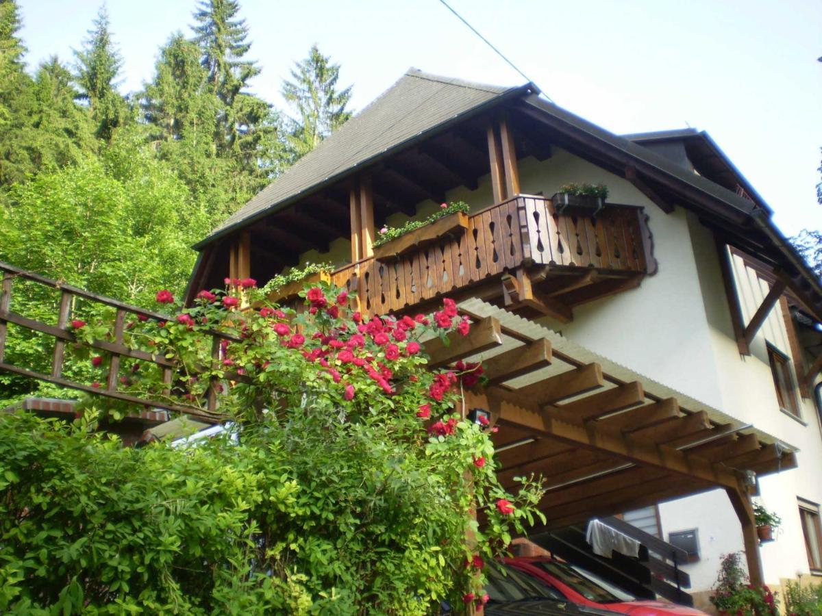 Haus Am Bach Apartment Freiburg im Breisgau Luaran gambar